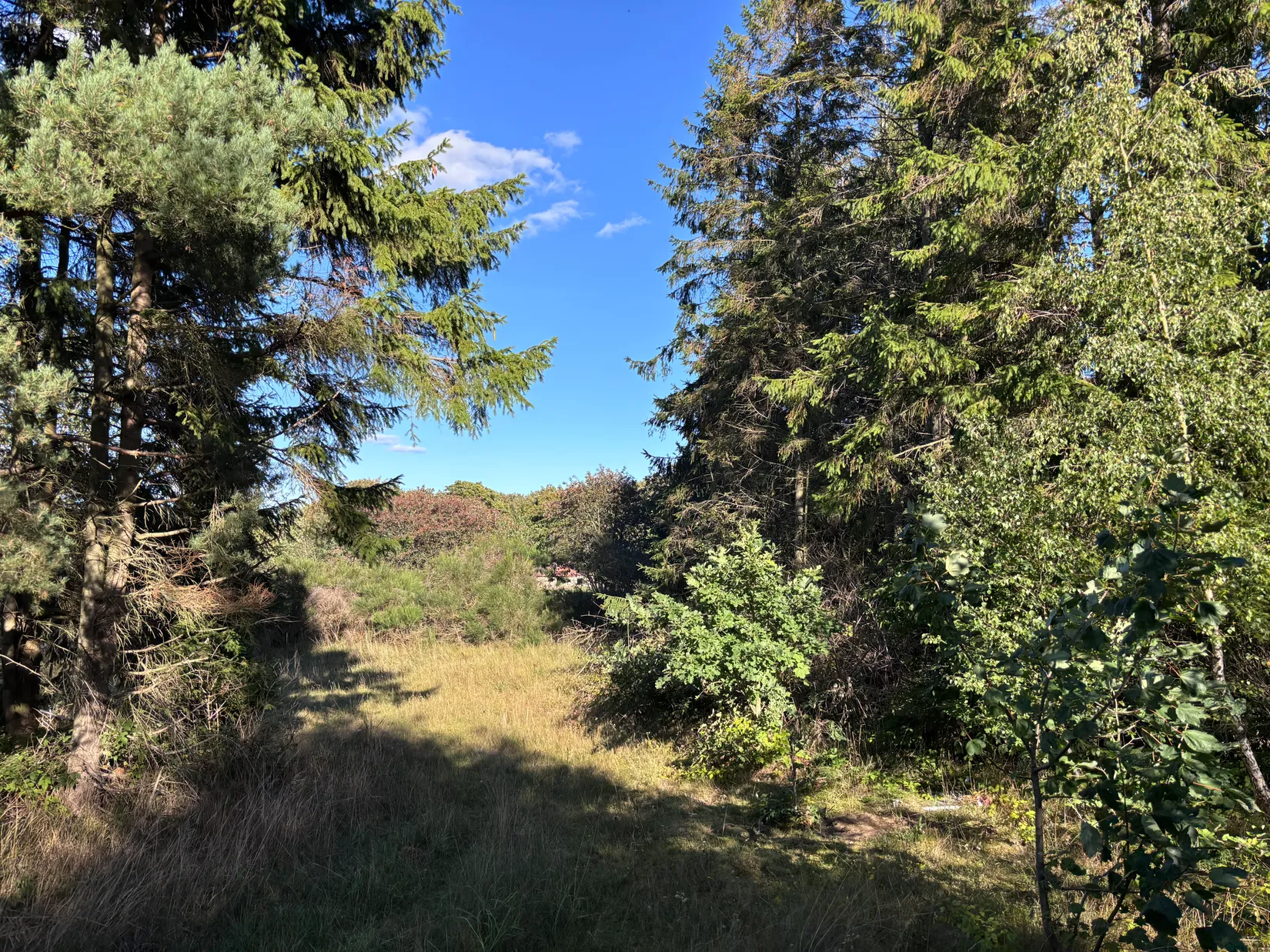 Tomt, Östra kustvägen 1378 B, Sandhammaren, Ystad