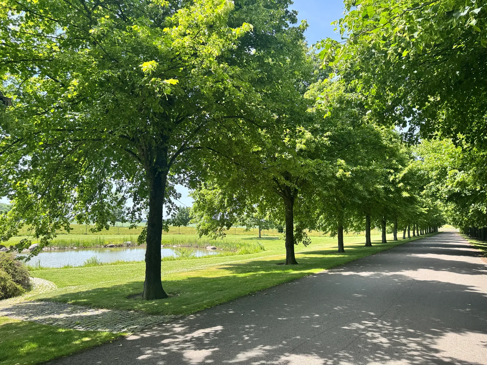 Villa, Södra Signestorpsvägen 200, Helsingborg