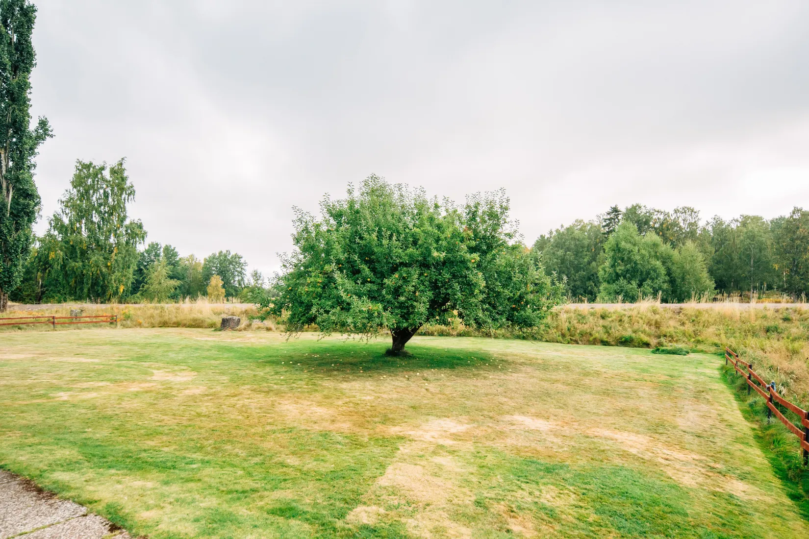 Villa, Bråta Vallegatan 1, Gullspång