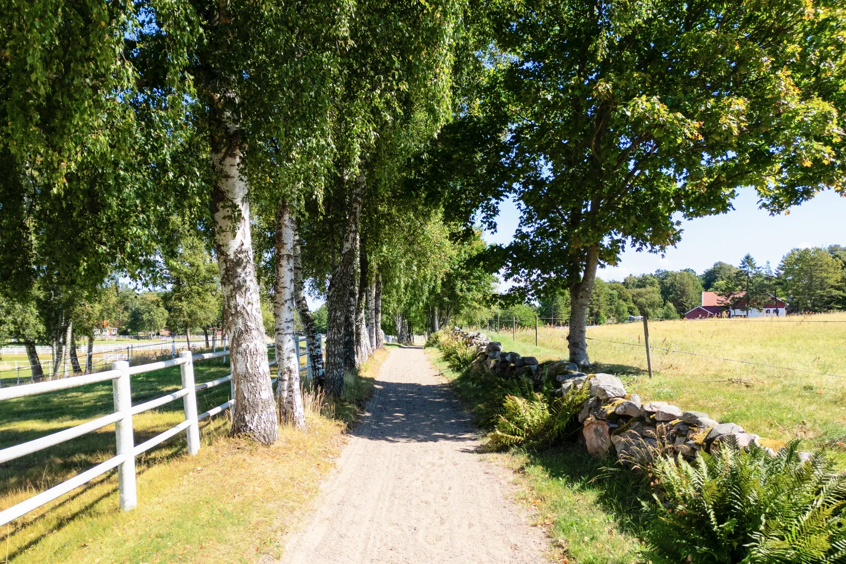 Gård/Skog, Onsalavägen 845, Onsala - Centralt, Kungsbacka