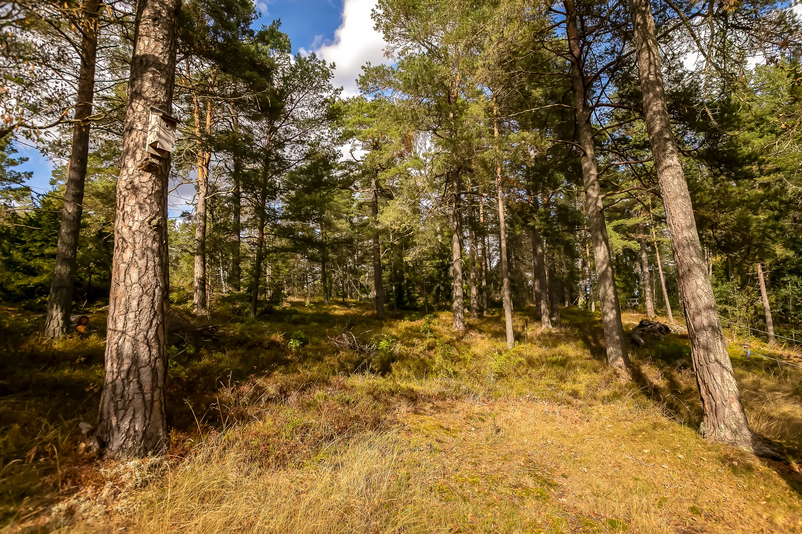 Fritidshus, Tussilagovägen 25, Värmdö