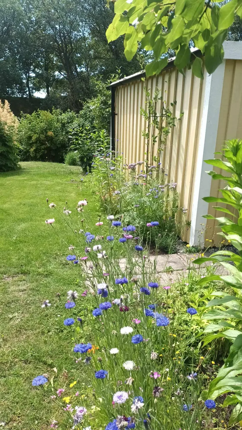 Fritidshus, Liljestigen 17, Landskrona