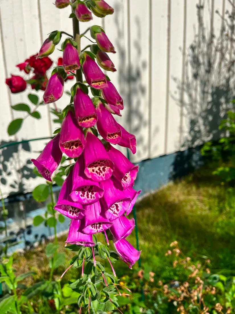 Villa, Kubbe 143, Bredbyn, Örnsköldsvik