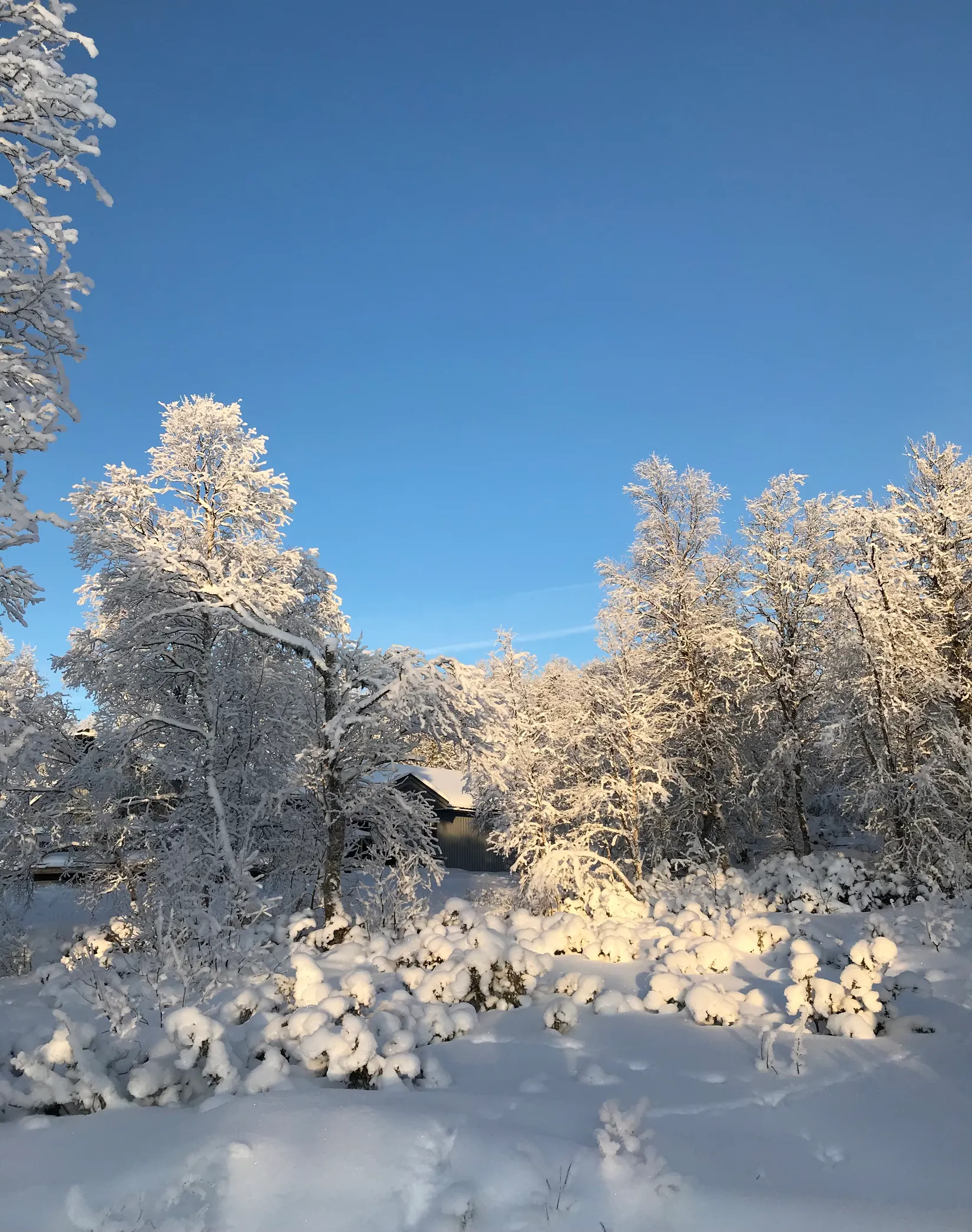 Fritidshus, Åsvallen T-Vägen 3, Härjedalen