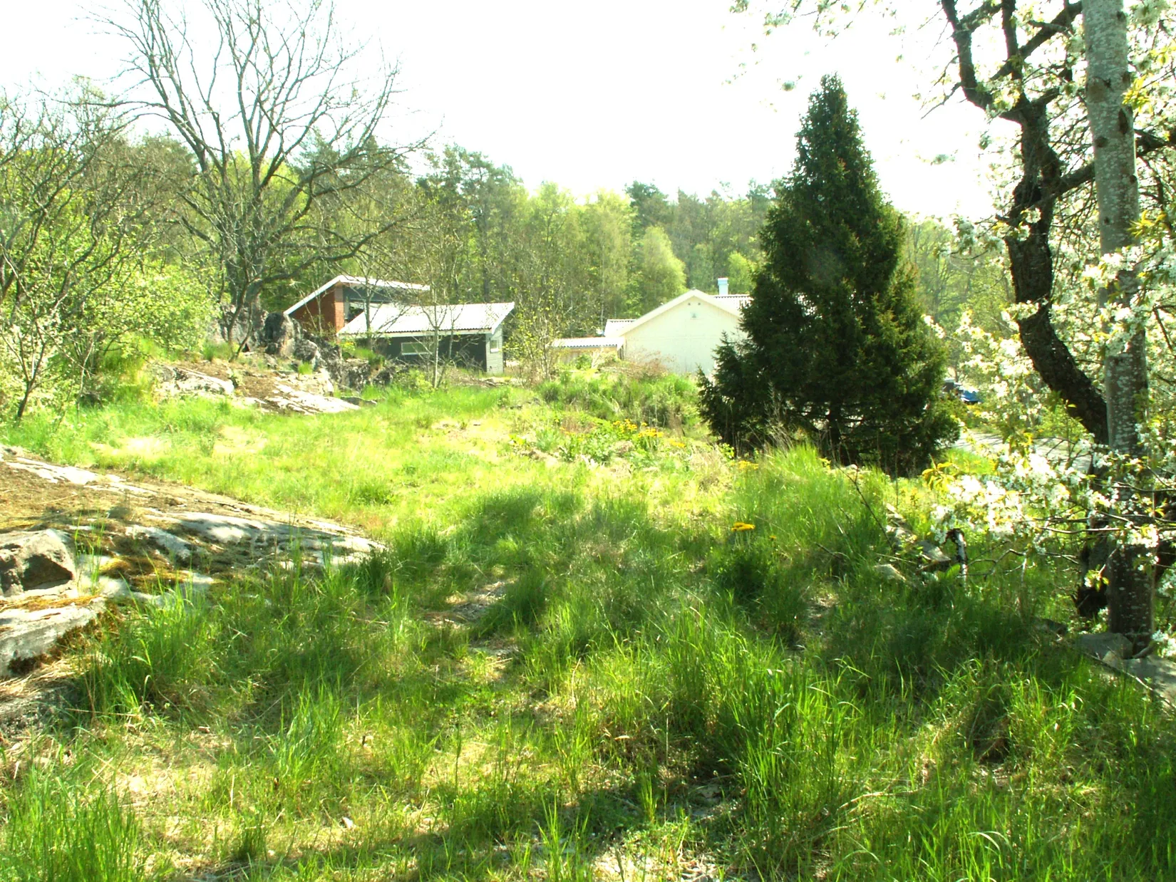 Tomt, Ronnebyvägen 250-9, Dala, Karlshamn