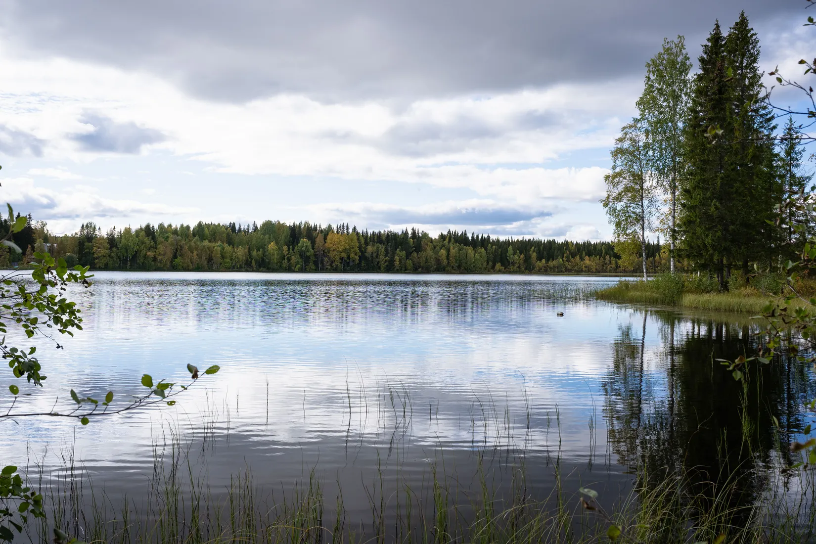 Fritidshus, Långmyrliden, Norsjö, Norsjö