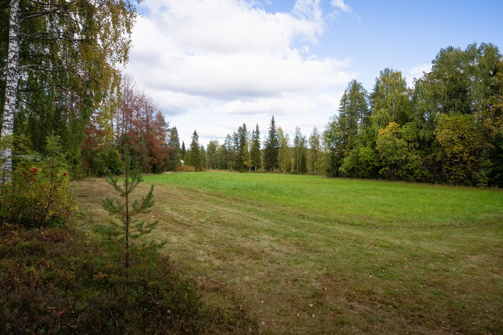 Fritidshus, Långmyrliden, Norsjö, Norsjö