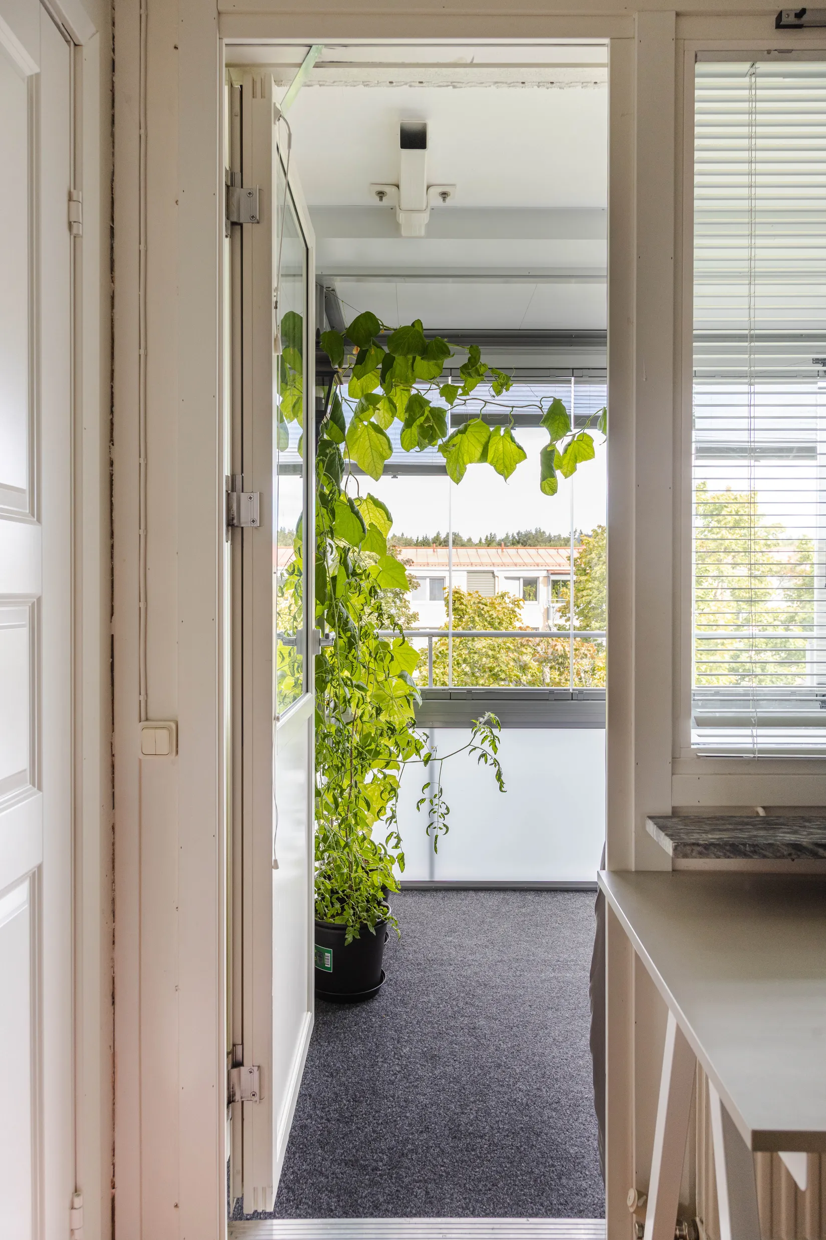 Bostadsrätt, Lövhagsgatan 65, Västerås
