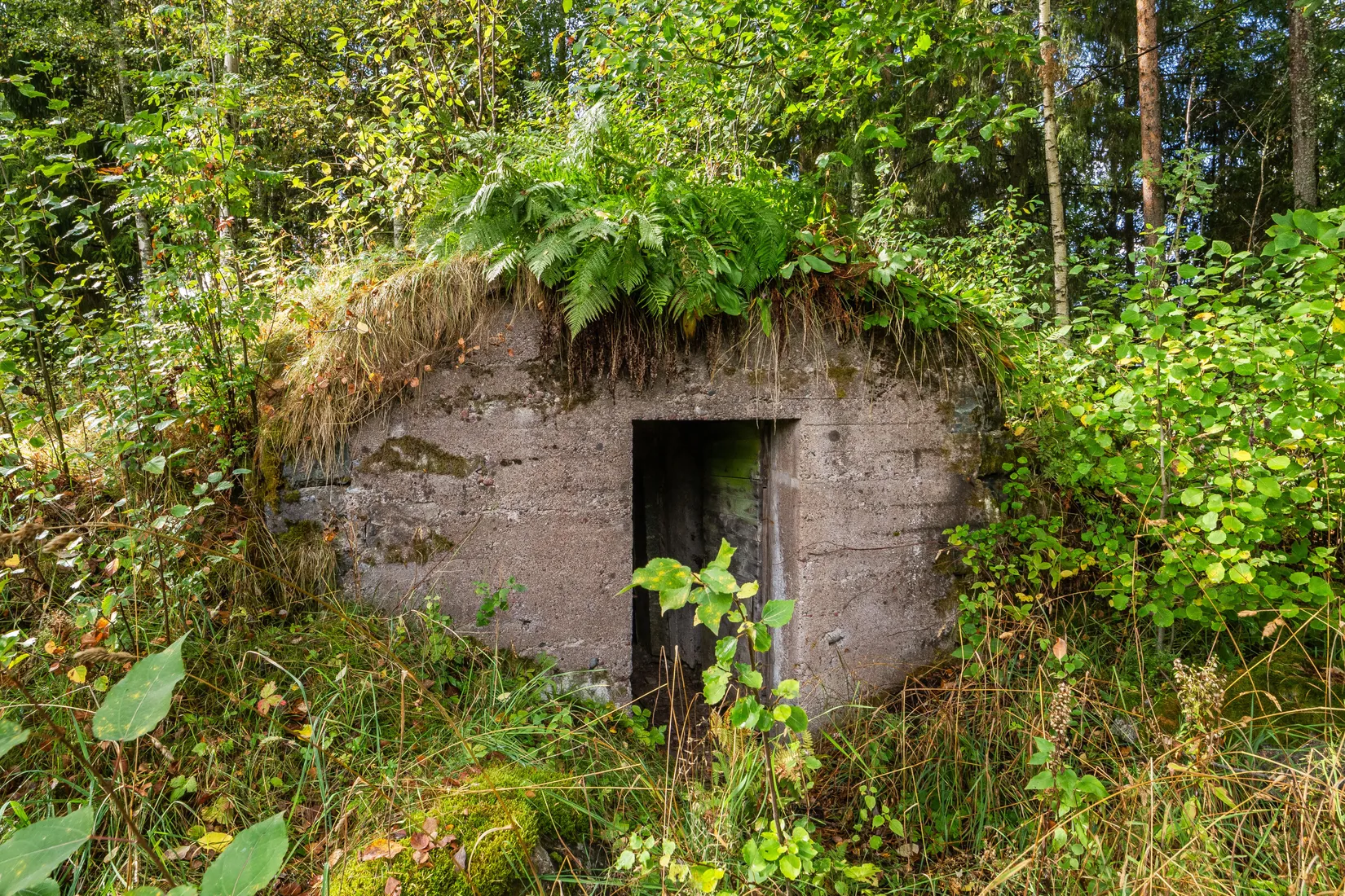 Villa, Nyhyttan 221, Avesta
