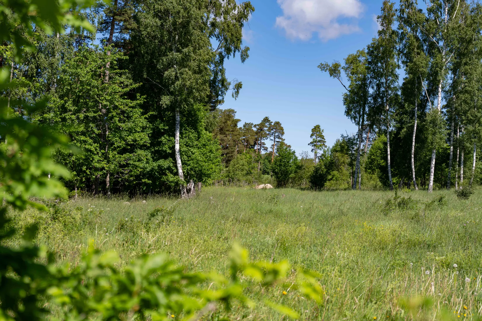 Tomt, Sanda Bäckstäde 486, Västra Gotland - Sanda, Gotland