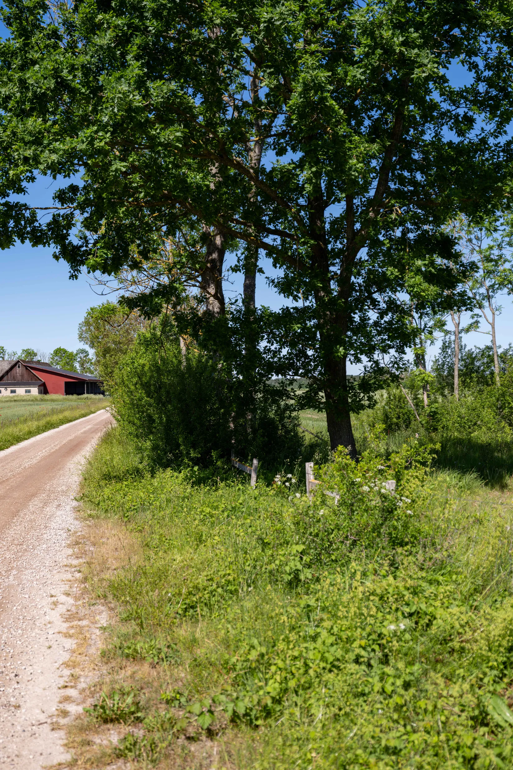 Tomt, Sanda Bäckstäde 486, Västra Gotland - Sanda, Gotland