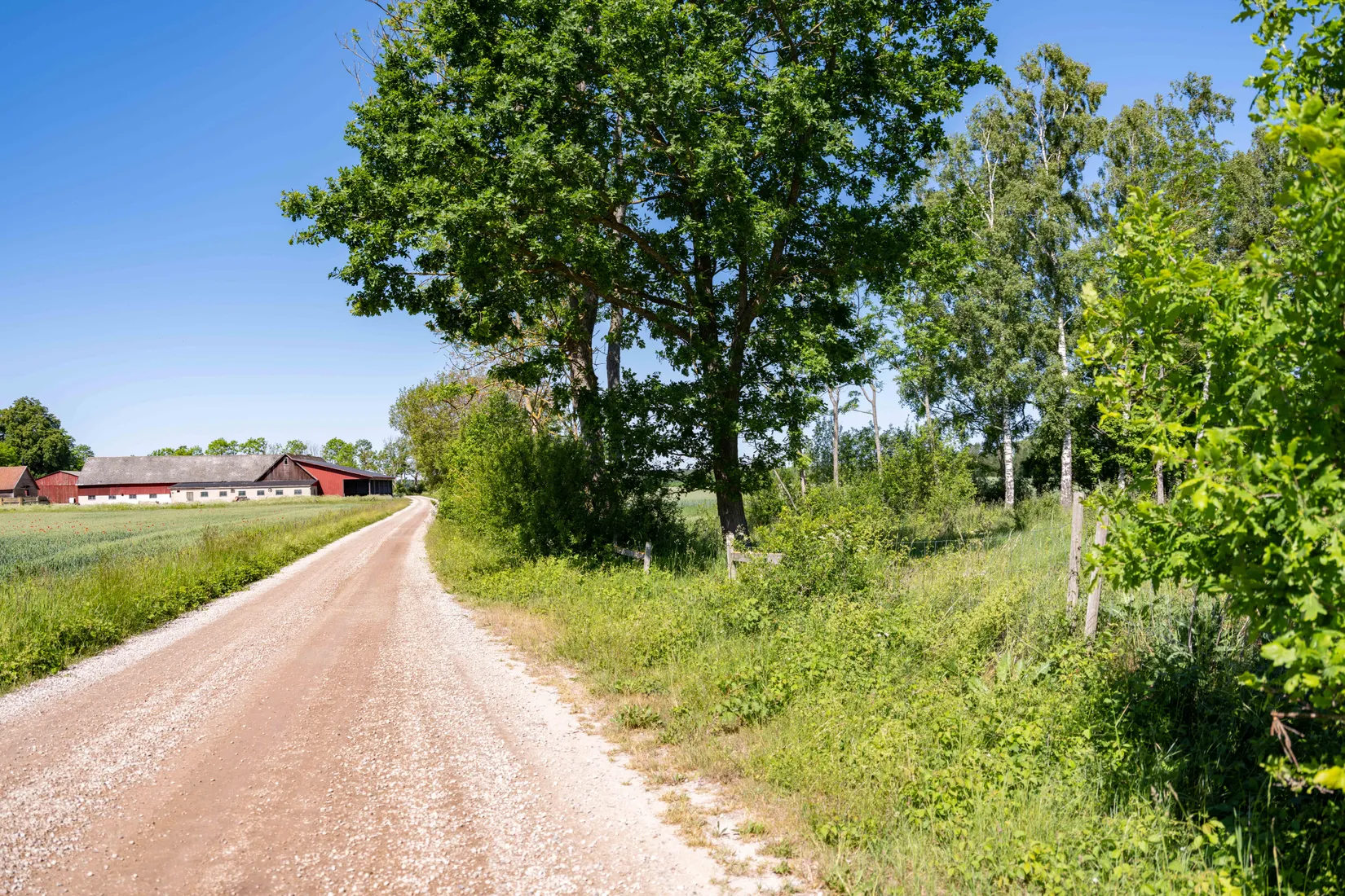Tomt, Sanda Bäckstäde 486, Västra Gotland - Sanda, Gotland