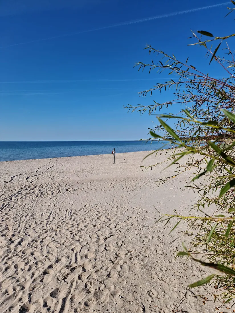 Tomt, Sanda Bäckstäde 486, Västra Gotland - Sanda, Gotland