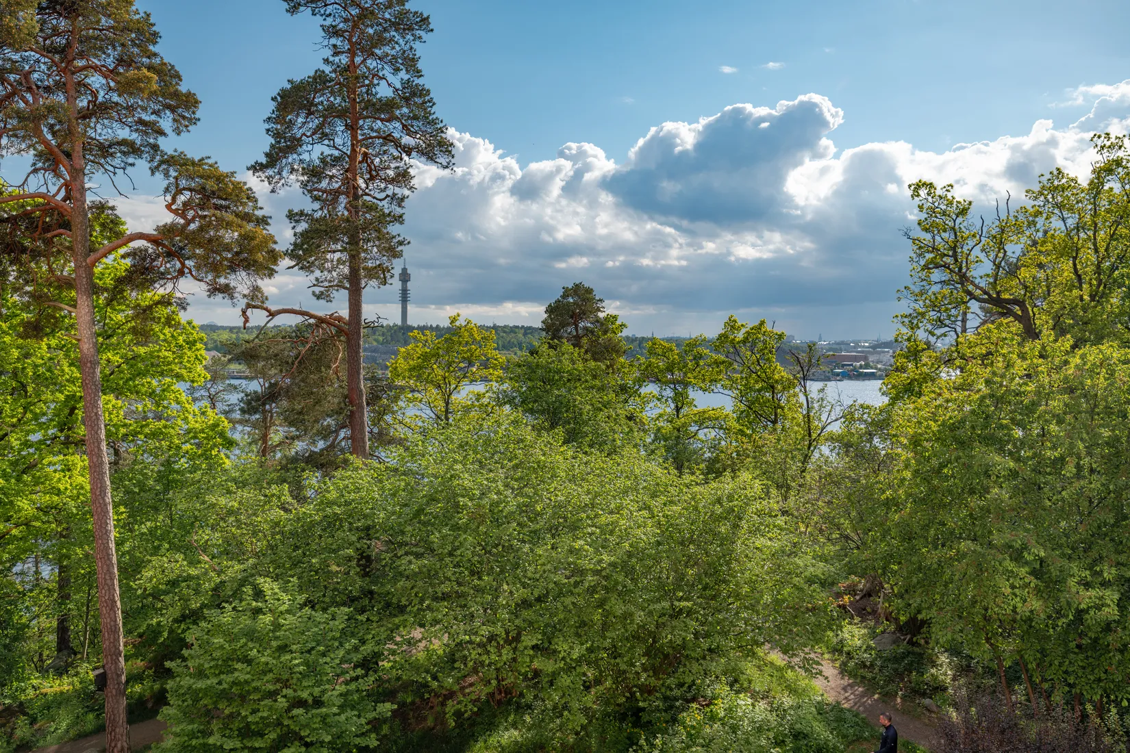 Bostadsrätt, Larsbergsvägen 59, Larsberg, Lidingö