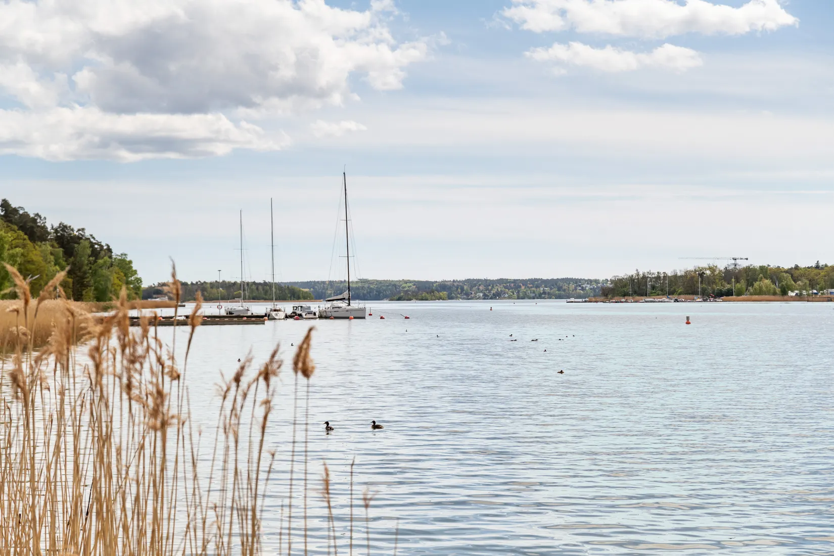 Radhus, Meijerfeldts väg 50, Näsbypark, Täby