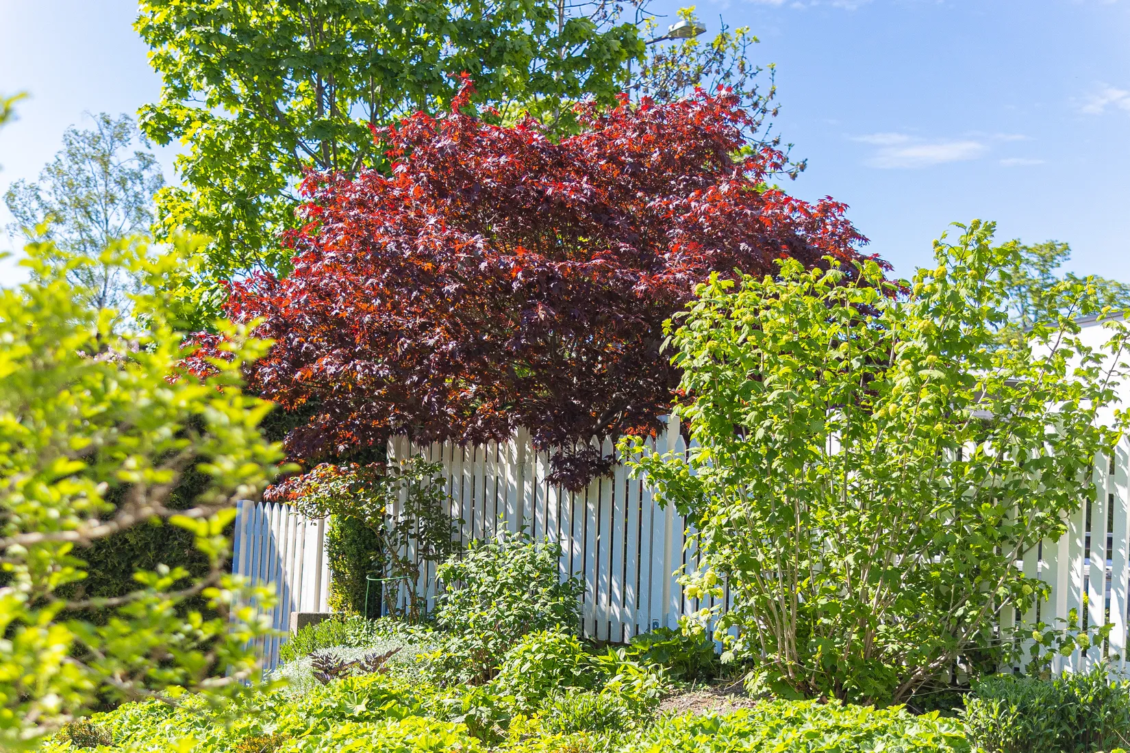 Villa, Örnstigen 10, Duvbo, Sundbyberg