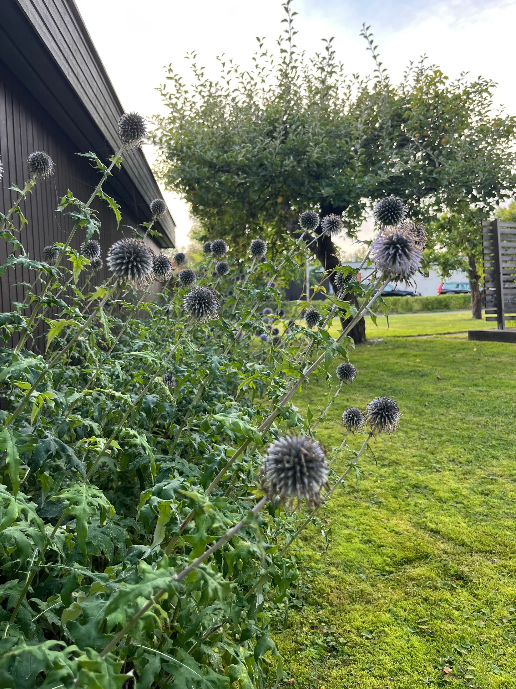 Villa, Malma ringväg 46, Norby, Uppsala
