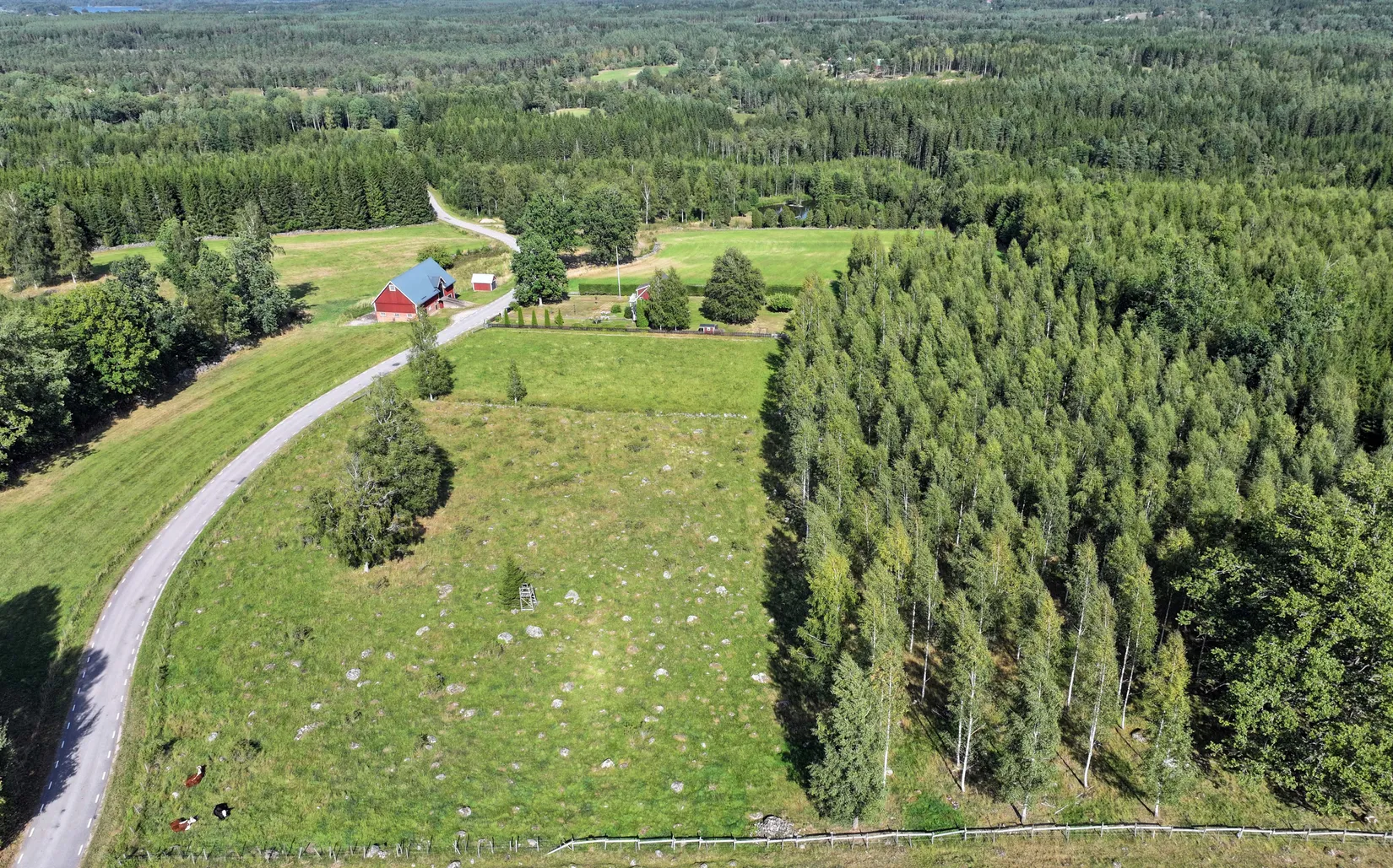 Gård/Skog, Månstorp 12, Vetlanda
