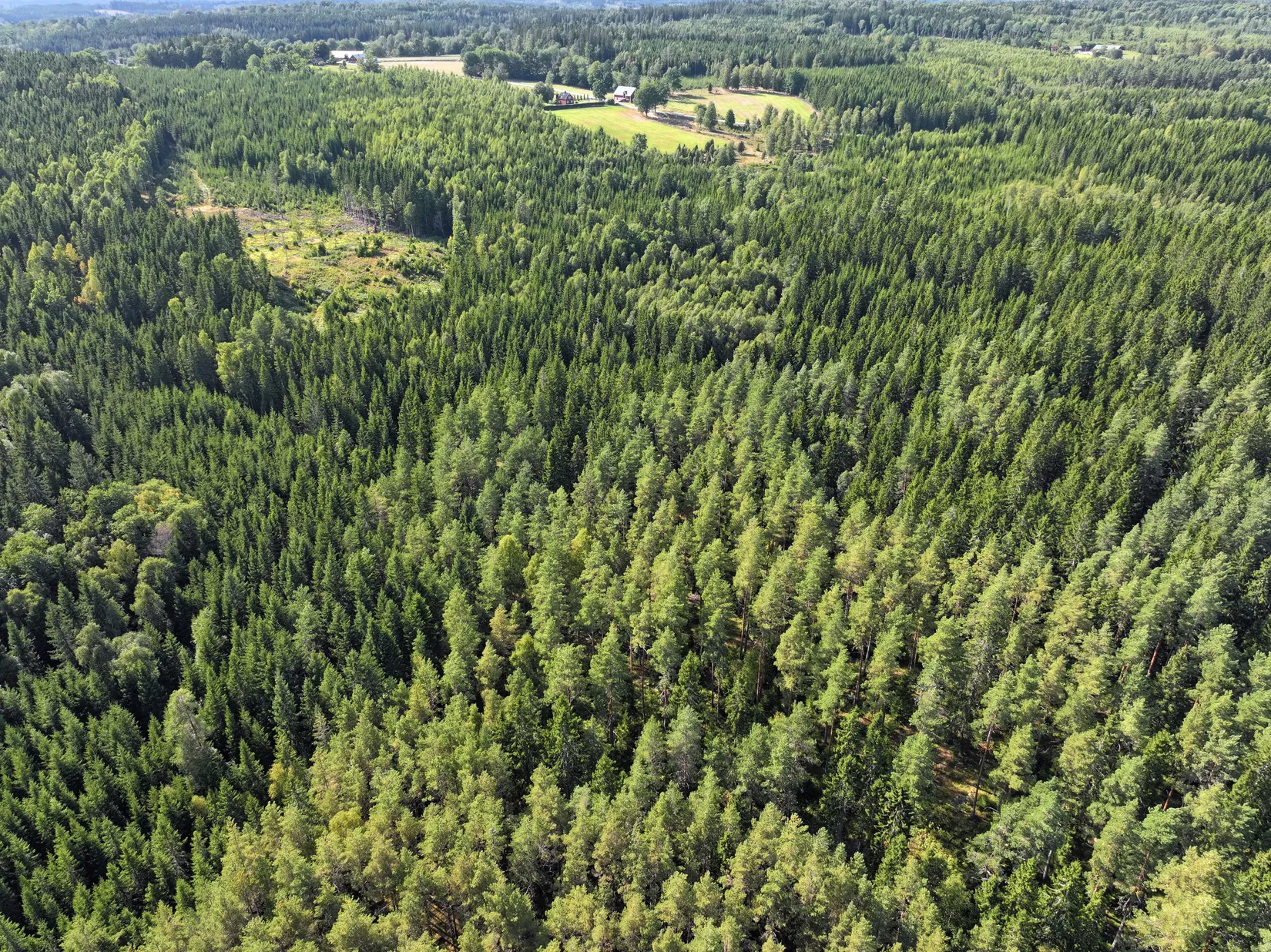 Gård/Skog, Månstorp 12, Vetlanda