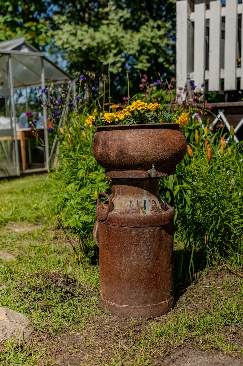 Gård/Skog, Gammelbyn 70, Burträsk, Skellefteå