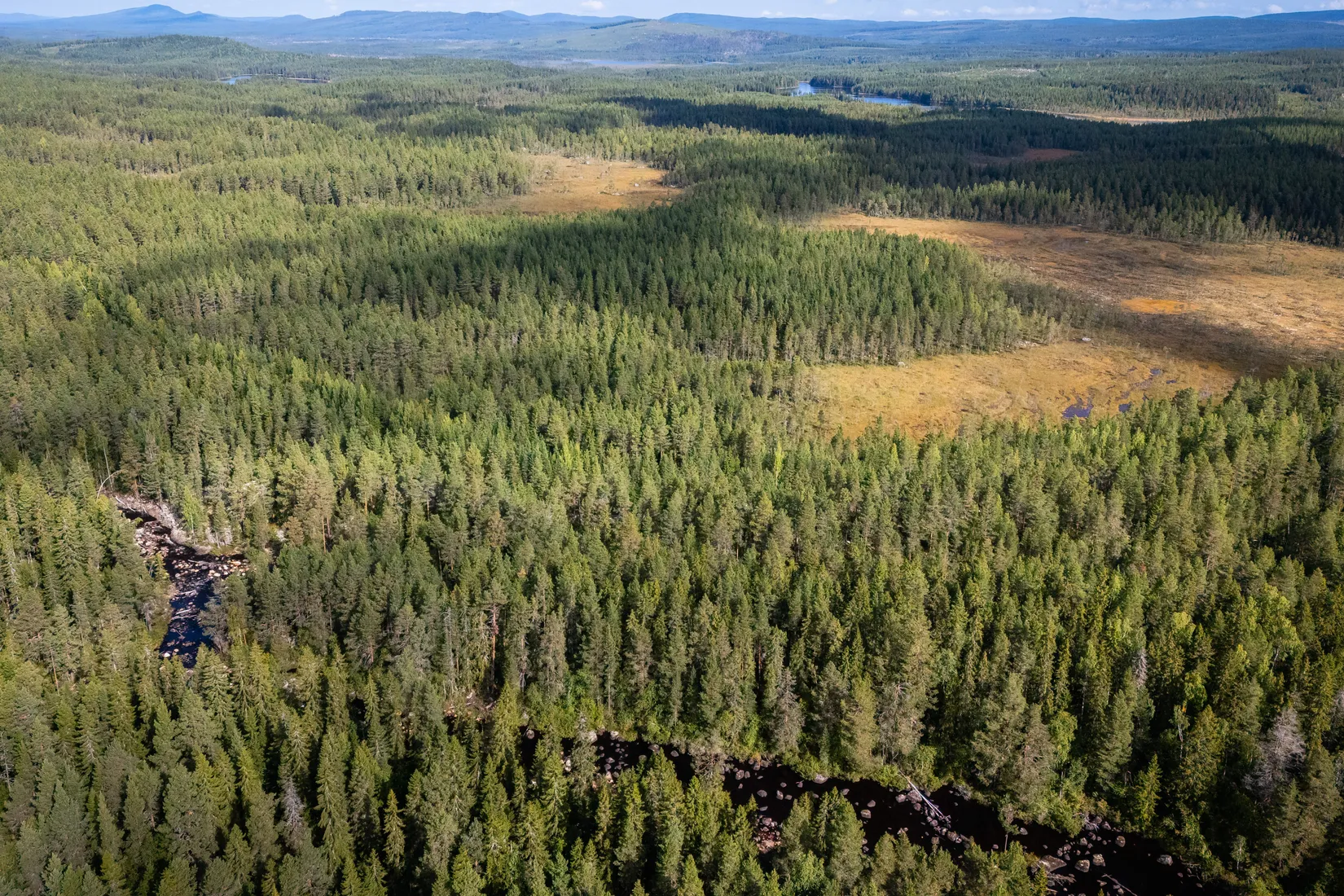 Gård/Skog, LJUSDAL KÅRBÖLE 6:1, Ljusdal