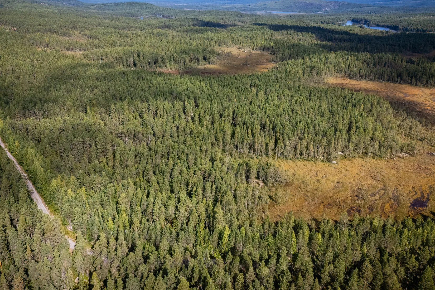 Gård/Skog, LJUSDAL KÅRBÖLE 6:1, Ljusdal