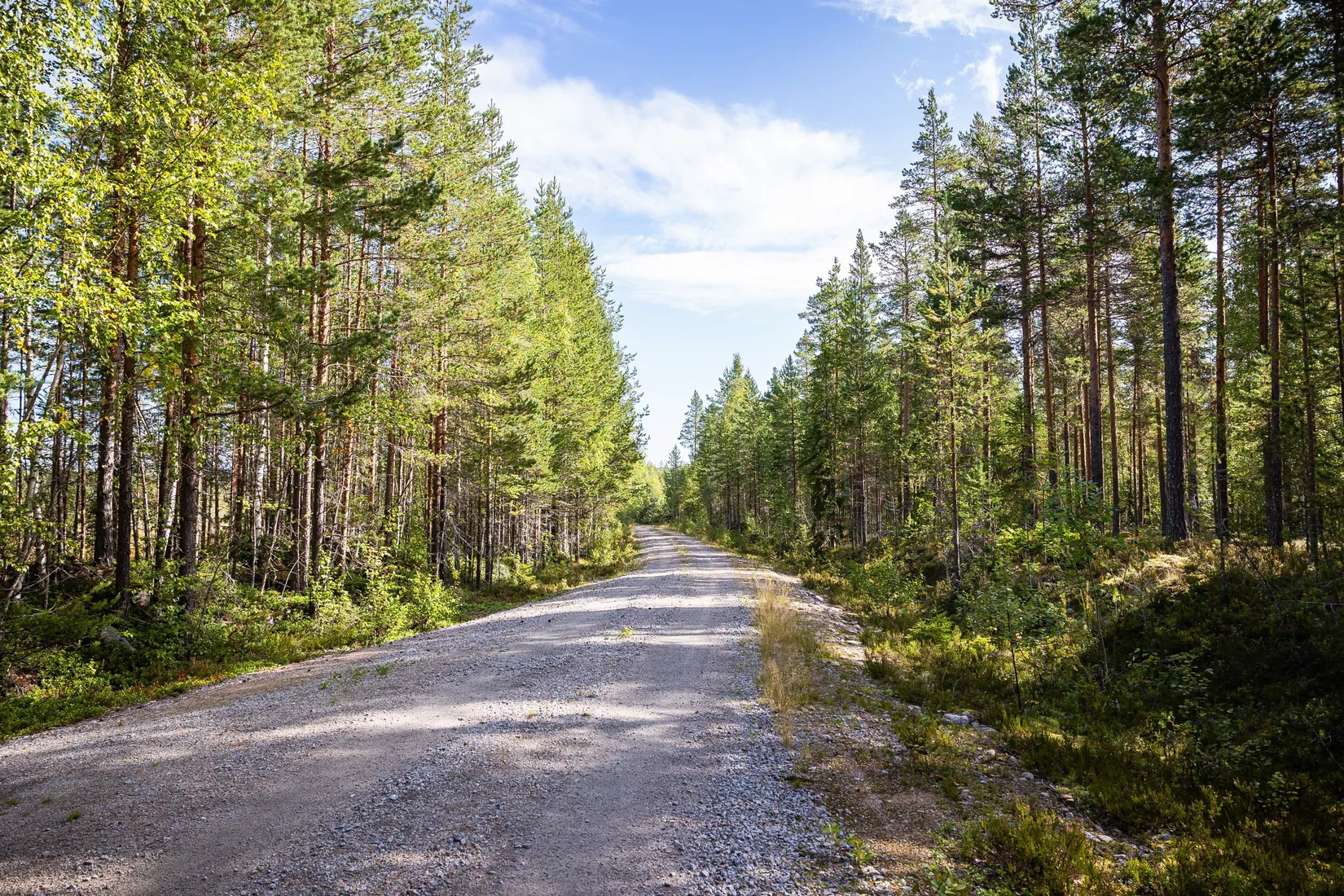 Gård/Skog, LJUSDAL KÅRBÖLE 6:1, Ljusdal