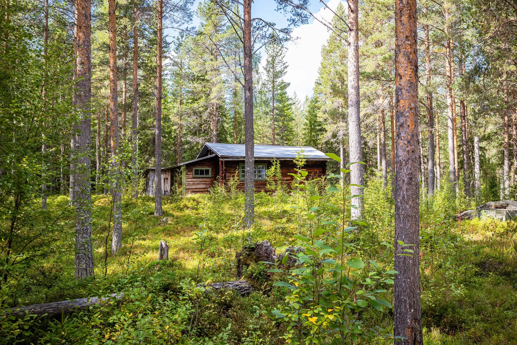 Gård/Skog, LJUSDAL KÅRBÖLE 6:1, Ljusdal
