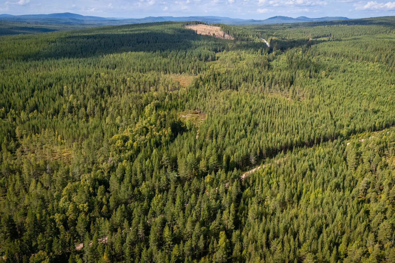 Gård/Skog, LJUSDAL KÅRBÖLE 6:1, Ljusdal