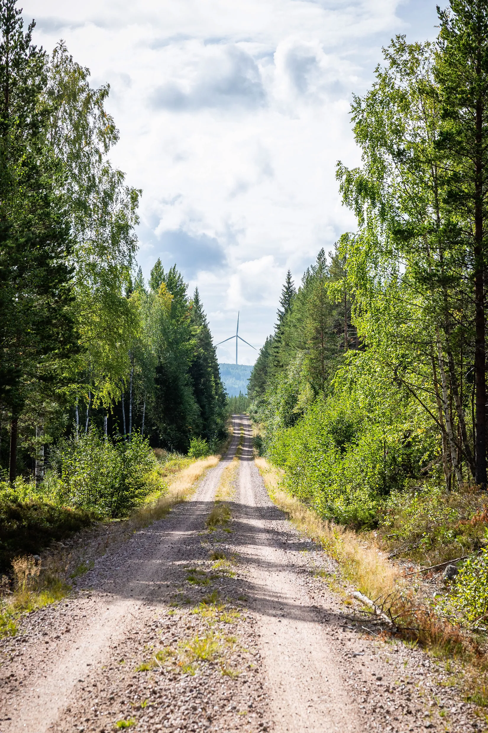 Gård/Skog, LJUSDAL KÅRBÖLE 6:1, Ljusdal