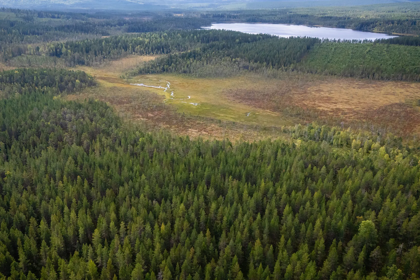 Gård/Skog, LJUSDAL KÅRBÖLE 6:1, Ljusdal