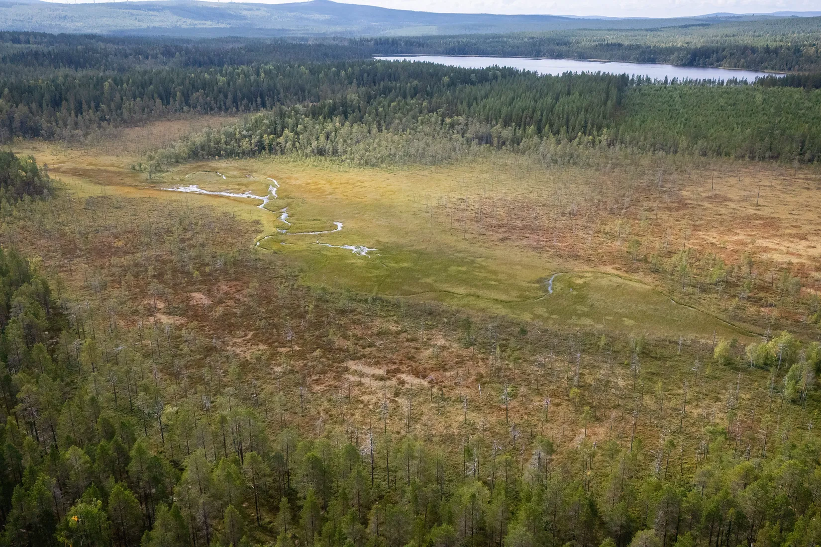 Gård/Skog, LJUSDAL KÅRBÖLE 6:1, Ljusdal