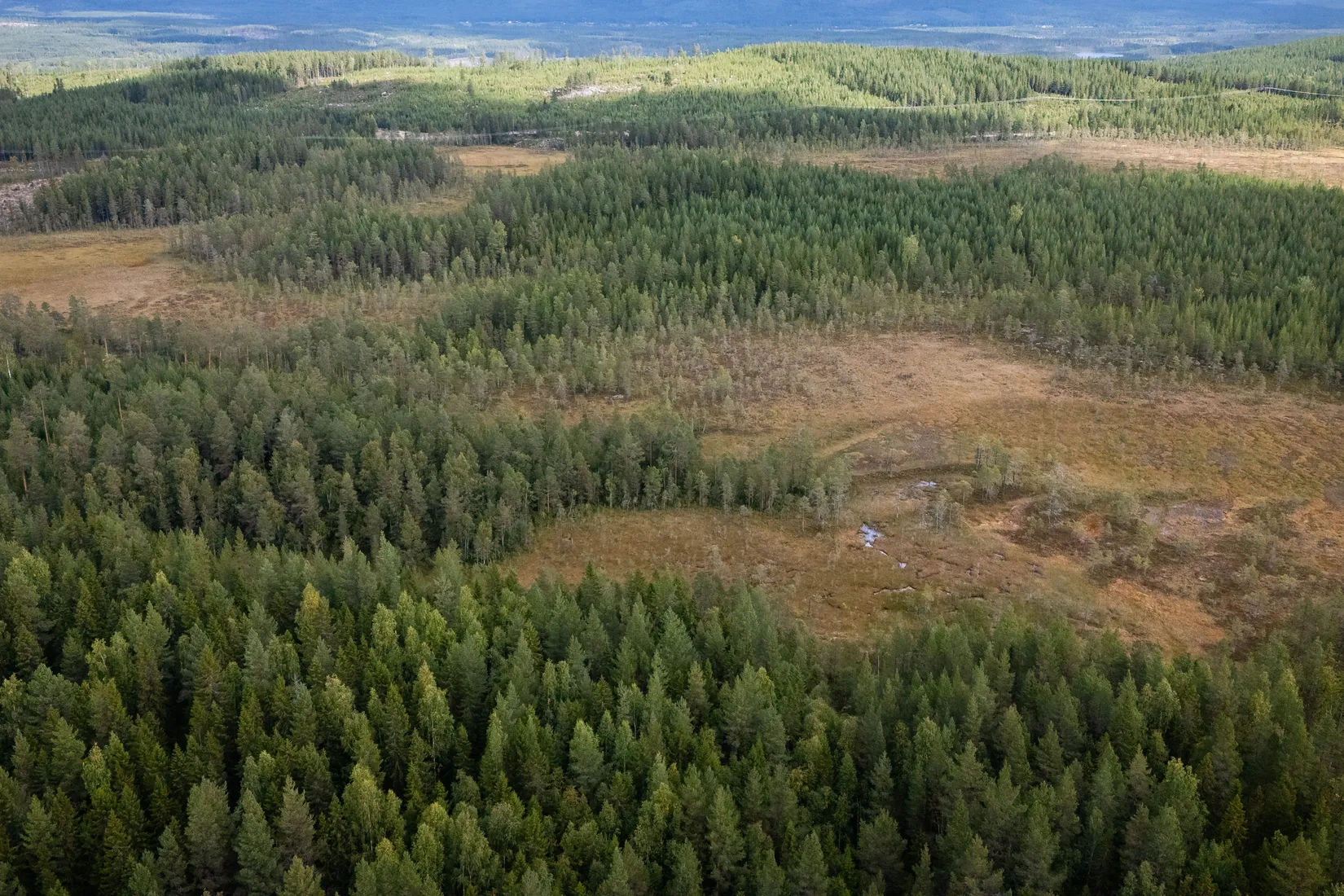 Gård/Skog, LJUSDAL KÅRBÖLE 6:1, Ljusdal