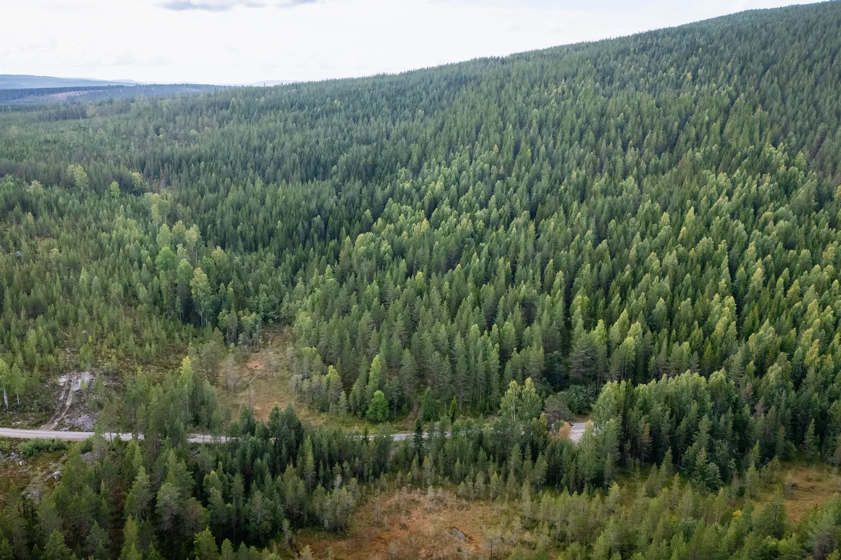 Gård/Skog, LJUSDAL KÅRBÖLE 6:1, Ljusdal