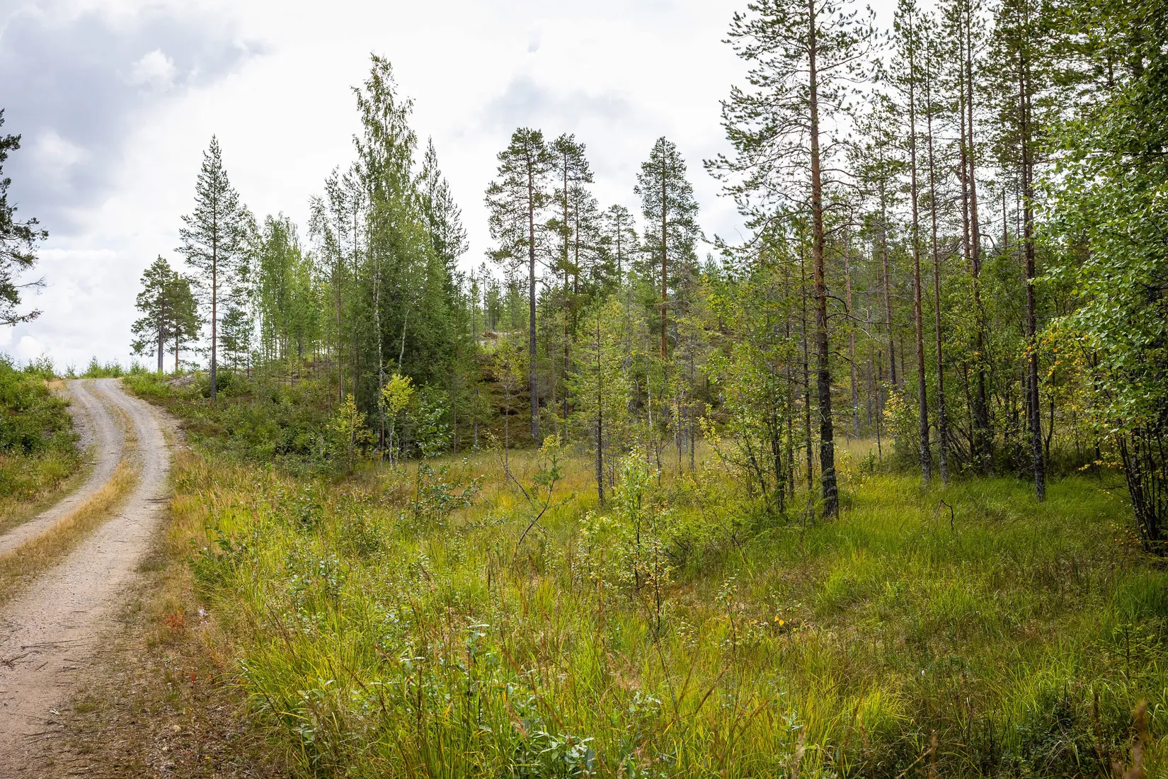 Gård/Skog, LJUSDAL KÅRBÖLE 6:1, Ljusdal