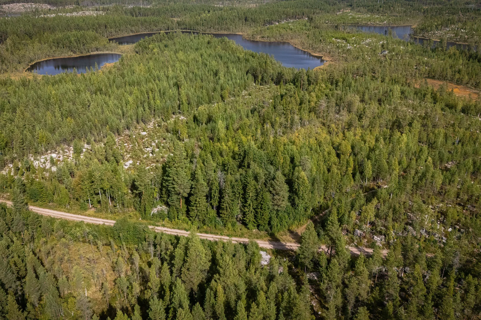 Gård/Skog, LJUSDAL KÅRBÖLE 6:1, Ljusdal