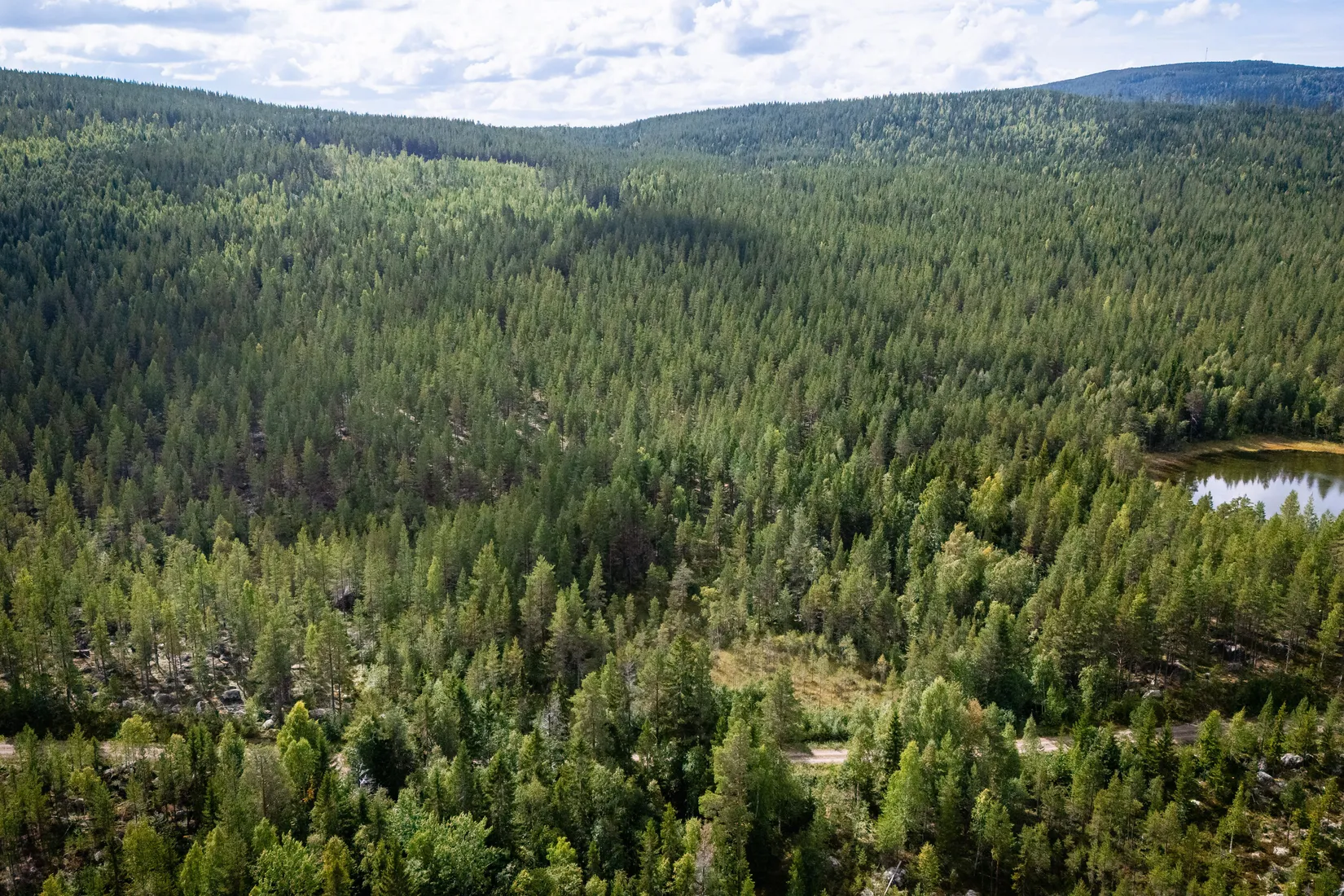 Gård/Skog, LJUSDAL KÅRBÖLE 6:1, Ljusdal
