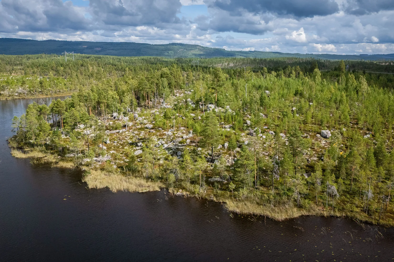 Gård/Skog, LJUSDAL KÅRBÖLE 6:1, Ljusdal