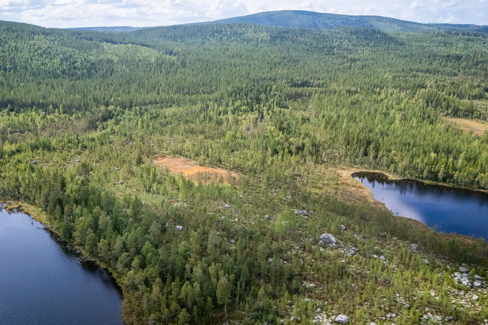 Gård/Skog, LJUSDAL KÅRBÖLE 6:1, Ljusdal