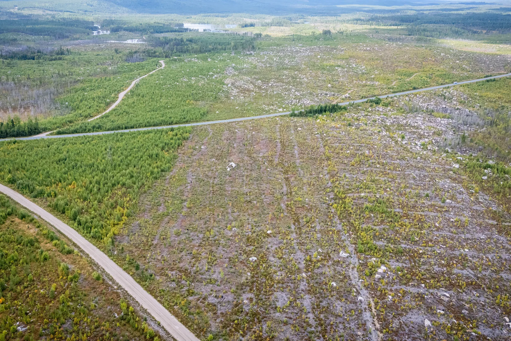 Gård/Skog, LJUSDAL KÅRBÖLE 6:1, Ljusdal