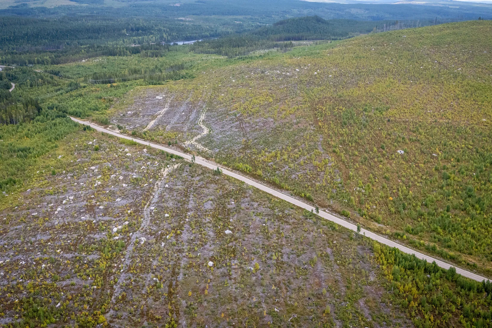 Gård/Skog, LJUSDAL KÅRBÖLE 6:1, Ljusdal