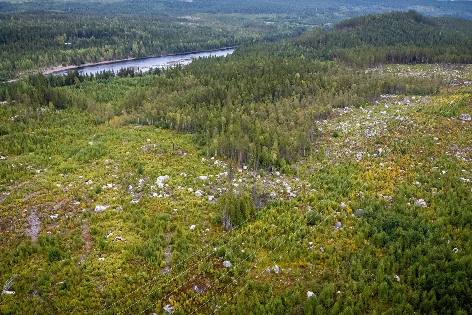 Gård/Skog, LJUSDAL KÅRBÖLE 6:1, Ljusdal