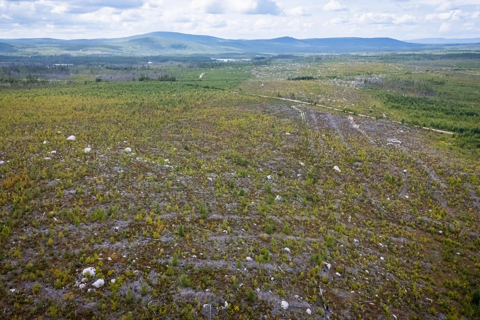Gård/Skog, LJUSDAL KÅRBÖLE 6:1, Ljusdal