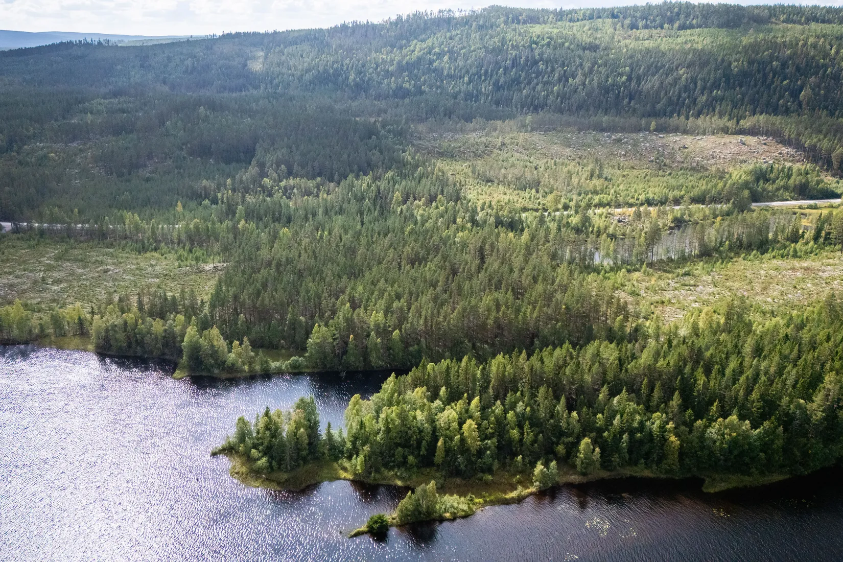 Gård/Skog, LJUSDAL KÅRBÖLE 6:1, Ljusdal