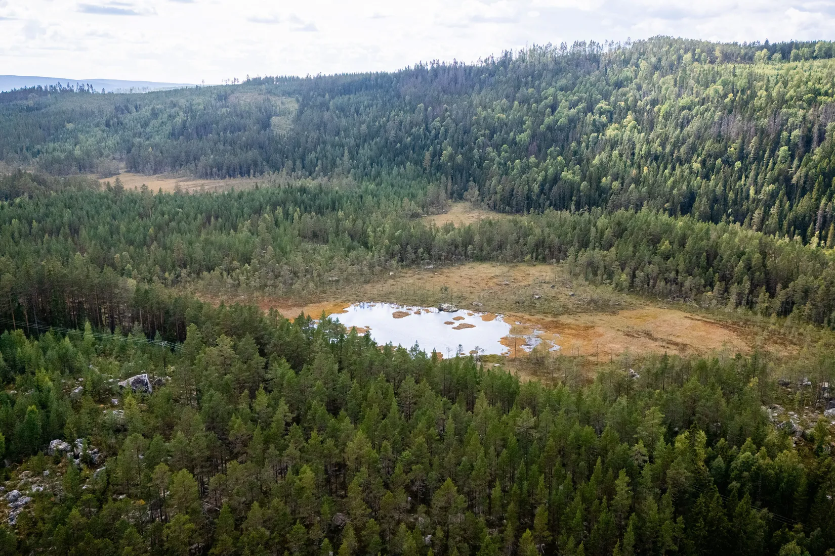 Gård/Skog, LJUSDAL KÅRBÖLE 6:1, Ljusdal