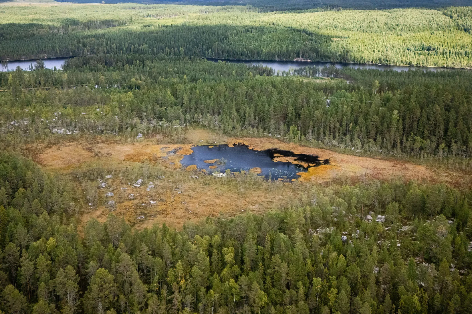 Gård/Skog, LJUSDAL KÅRBÖLE 6:1, Ljusdal