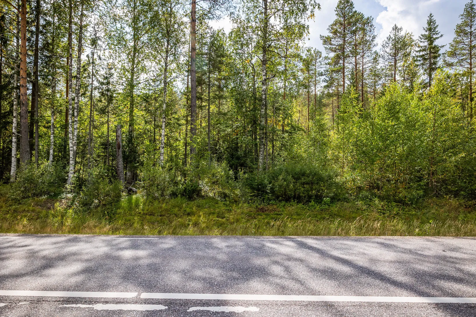 Gård/Skog, LJUSDAL KÅRBÖLE 6:1, Ljusdal