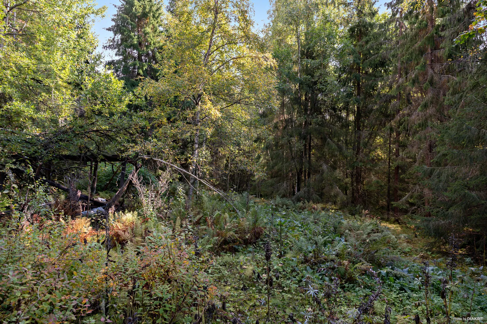 Villa, Lakenestorp 1:16, Lakene, Hagfors