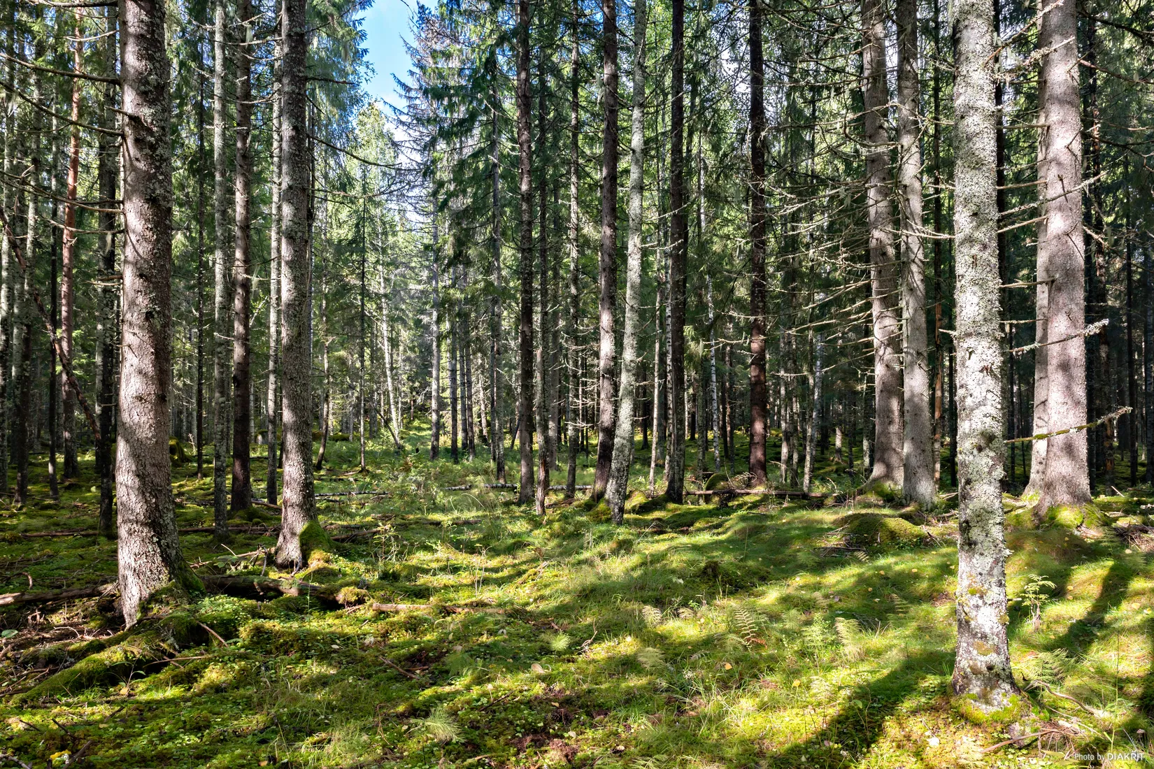 Villa, Lakenestorp 1:16, Lakene, Hagfors