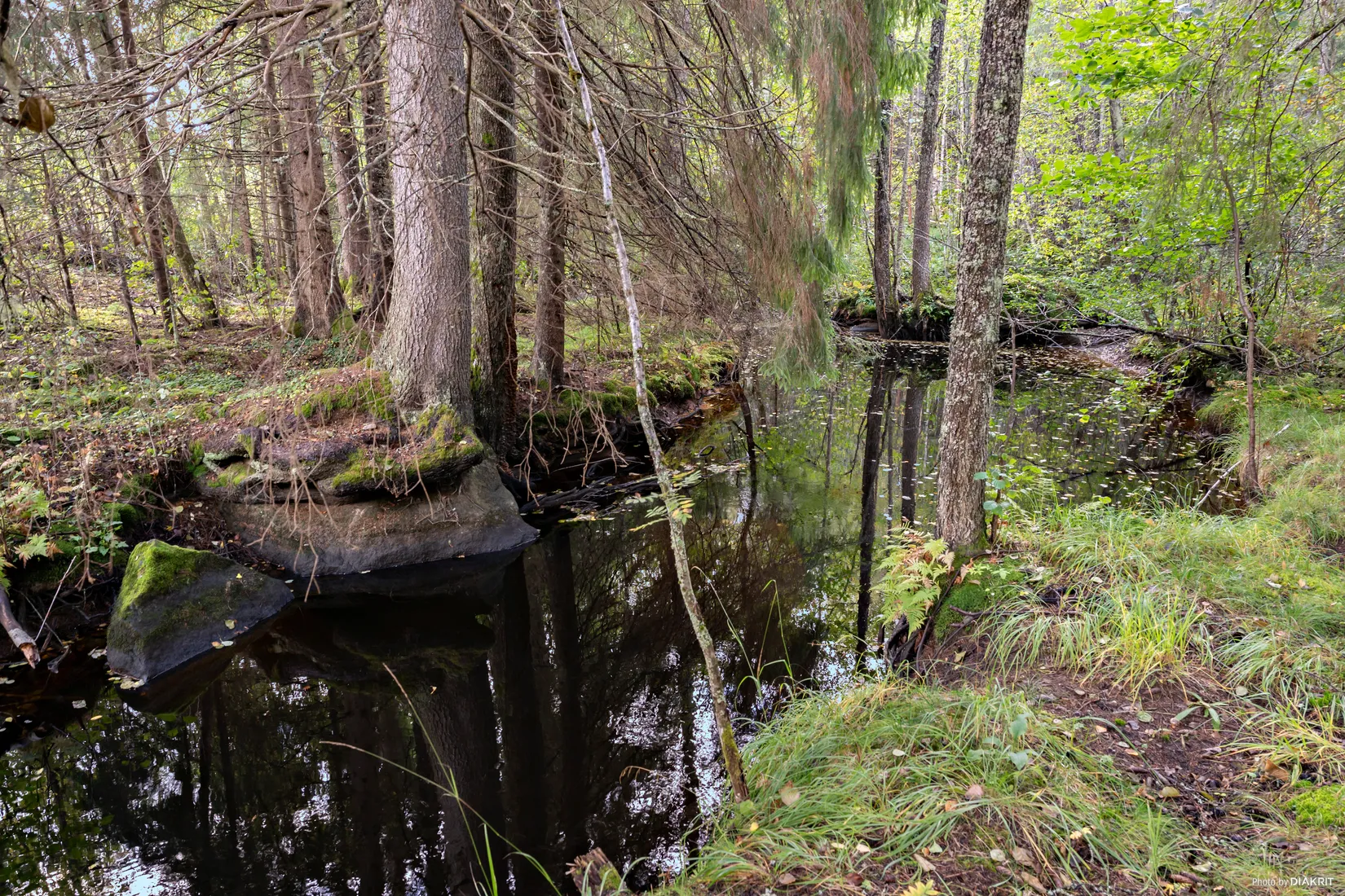 Villa, Lakenestorp 1:16, Lakene, Hagfors